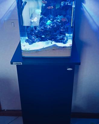 acquario 