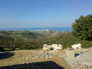 Terreno Agricolo residenziale Vieste