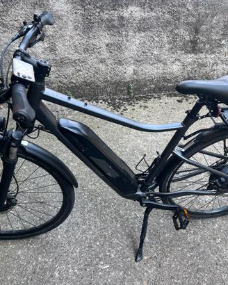 Bici elettrica