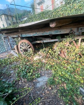 carro agricolo antico da trasporto