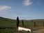 Immagine 12