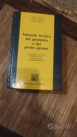 Manuale tecnico del geometra e perito 