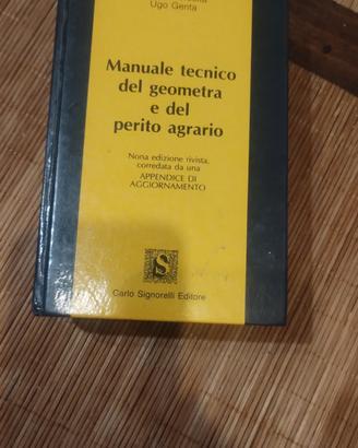 Manuale tecnico del geometra e perito 