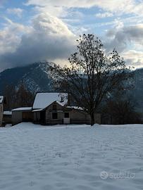 Appartamenti Maso Tre Fontane - animali ammessi