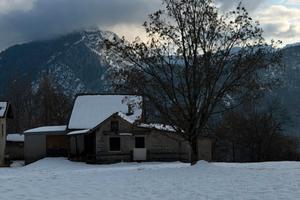 Appartamenti Maso Tre Fontane - animali ammessi