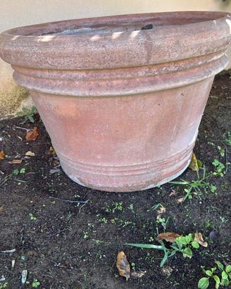 Vasi in terracotta