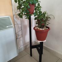 portapiante a colonne