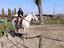 Immagine 3
