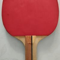 Racchetta ping pong professionale