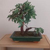 pianta finta 