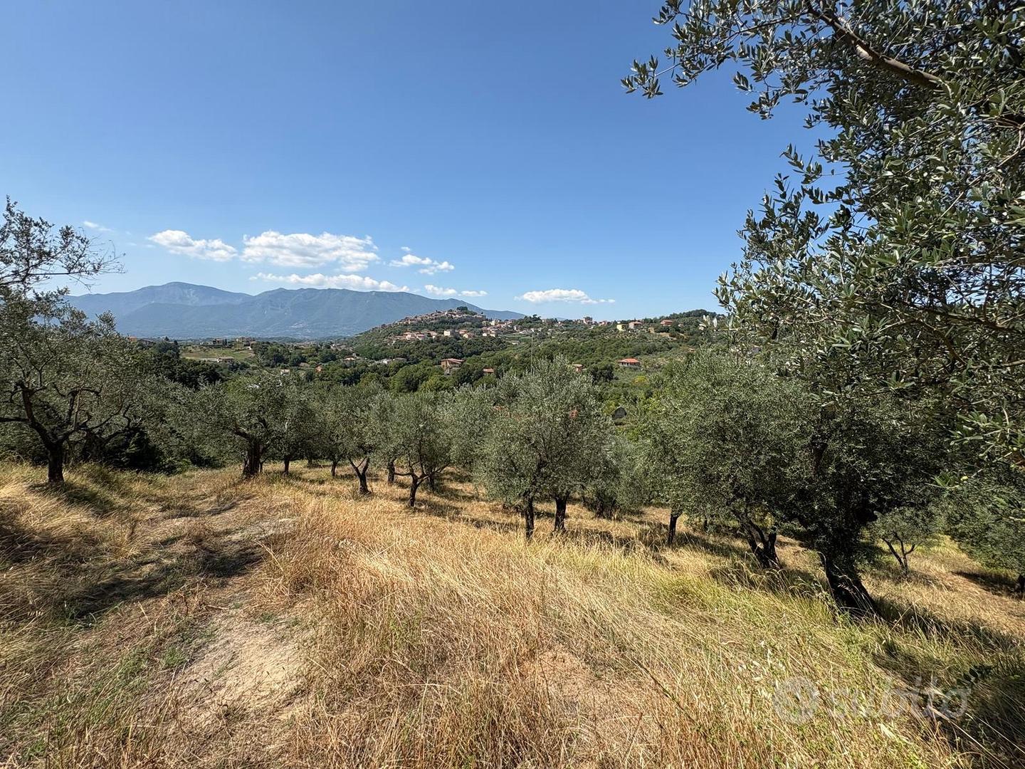 Rustico con uliveto - Vista 4