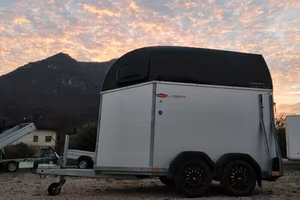 PRONTA CONSEGNA Trailer trasporto cavalli in Alu