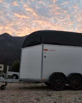 PRONTA CONSEGNA Trailer trasporto cavalli in Alu