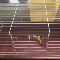 Gabbia per conigli/ roditori