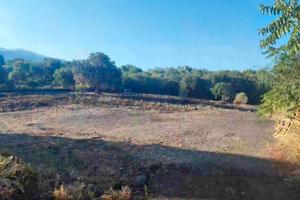 I terreno zona Monterosso (Aci sant'antonio)