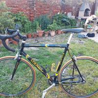 Bici da corsa Colnago chic