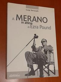 A Merano in attesa di Ezra Pound