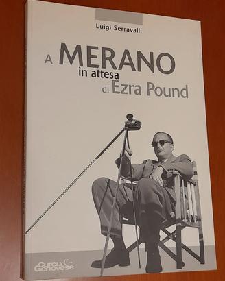 A Merano in attesa di Ezra Pound