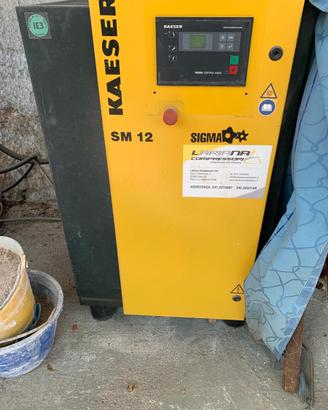 Compressore KAESER SM 12