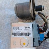 centralina e motorino servosterzo fiat punto 