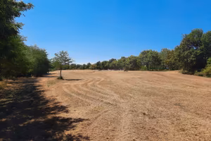 Terreno agricolo