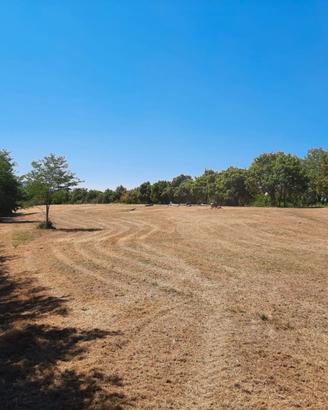 Terreno agricolo