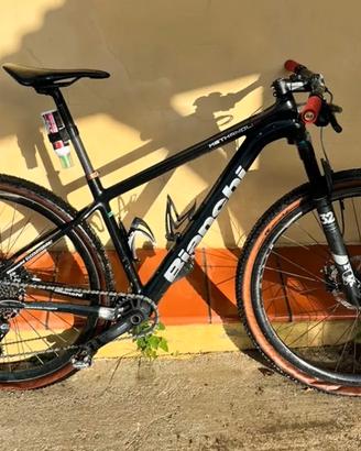Bianchi Methanol cv