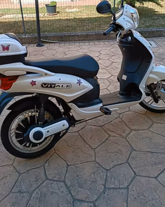 bicicletta elettrica a pedalata assistita 