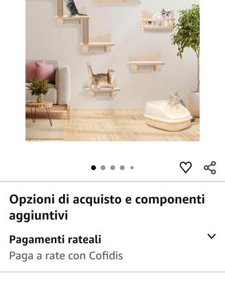 Palestra attrezzata per gatti.