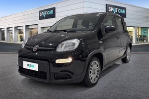 FIAT Panda 1.0 FireFly 70cv S&S Hybrid