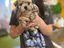 Immagine 19