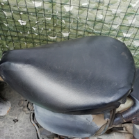 Sellino scarabeo 50