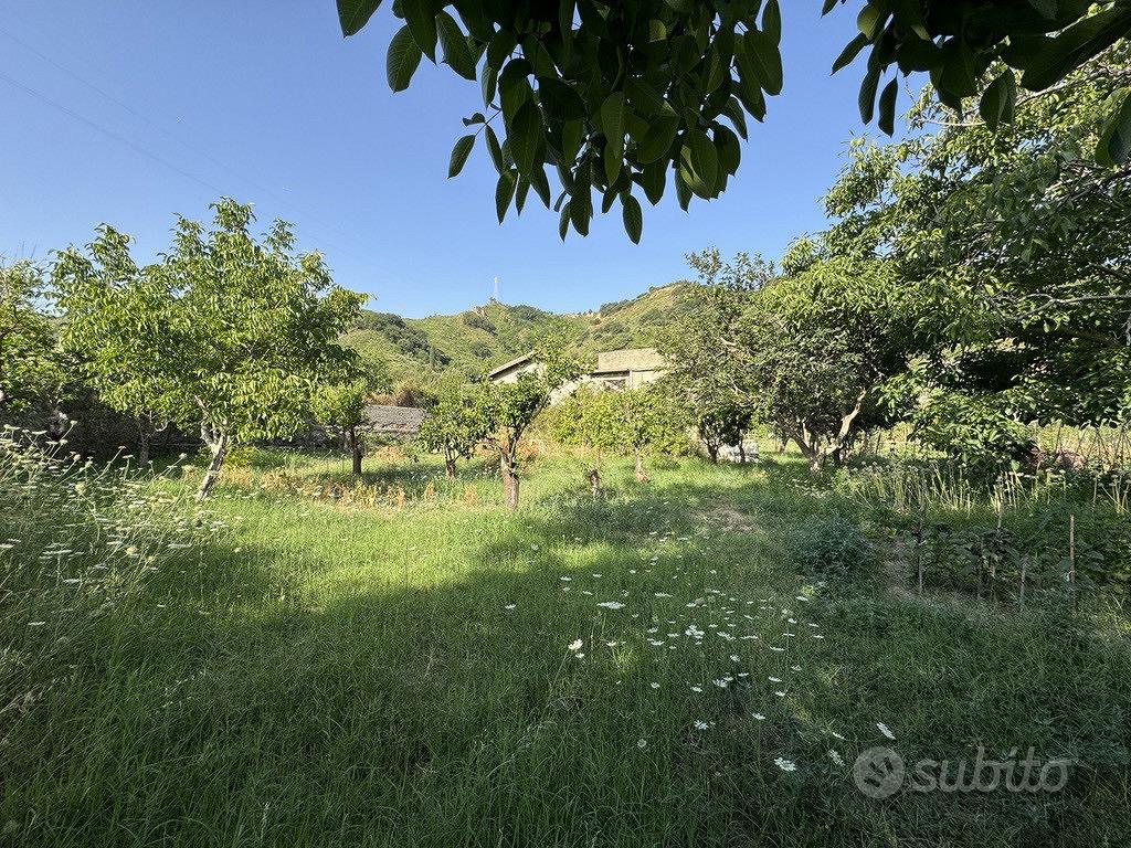 Terreno Agricolo Rometta [Cod. rif 3333050VCG] - Vista 4