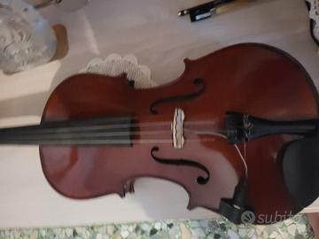 viola violino 