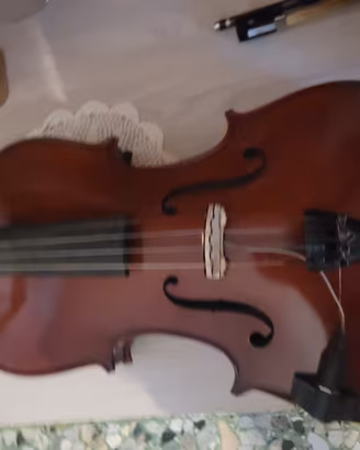 viola violino 
