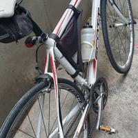Bicicletta SCOTT