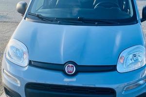Fiat panda 2022