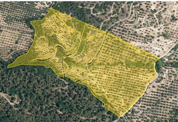 Azienda Agricola situata a Belcastro