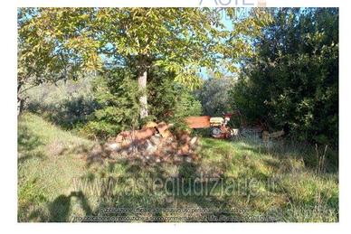 Terreno Agricolo Quarrata [A4283083]