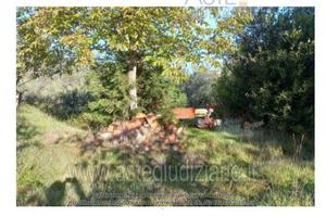 Terreno Agricolo Quarrata [A4283083]