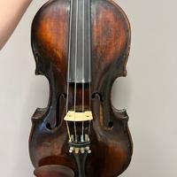 Violino