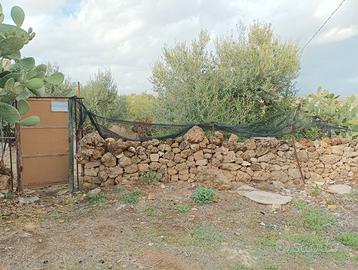 Terreno sportivo edificabile 130mq