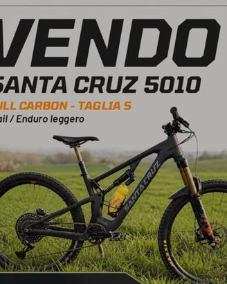 santa cruz 5010 c