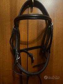 Testiera da salto Dyon