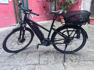 Winora yucatan 8 2021