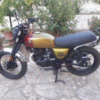 Brixton Cromwell 250 - 2022