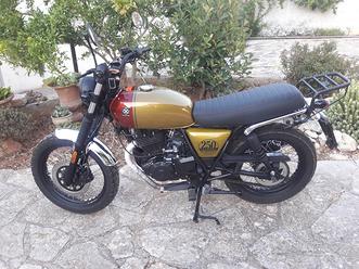 Brixton Cromwell 250 - 2022