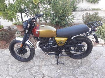 Brixton Cromwell 250 - 2022