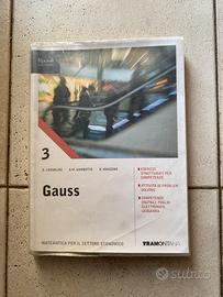 Gauss 3  libro di matematica