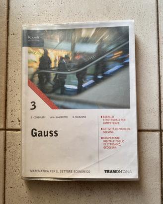 Gauss 3  libro di matematica